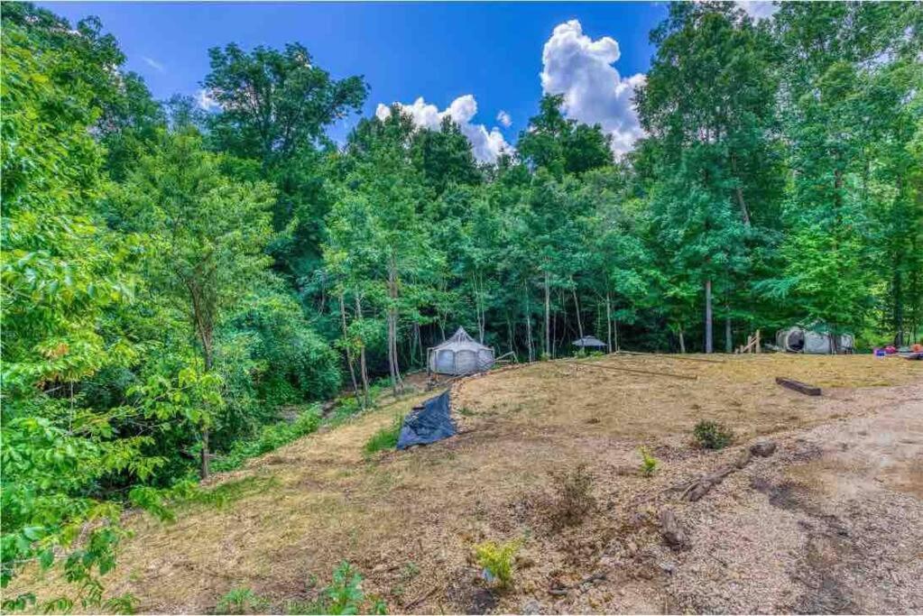 The Pisces-A Stargazing, Luxury Glamping Tent Rogersville Exterior foto